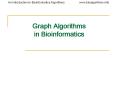Graph Algorithms in Bioinformatics PowerPoint PPT Presentation