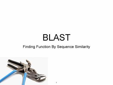 Finding Function By Sequence Similarity