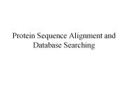Protein Sequence Alignment and Database Searching