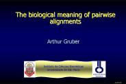 The biological meaning of pairwise alignments
