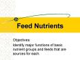 Feed Nutrients PowerPoint PPT Presentation