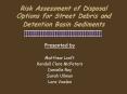 Risk Assessment of Disposal Options for Street Debris and Detention Basin Sediments PowerPoint PPT Presentation