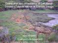 Distribution and Abundance of Salt Marsh Dodder Cuscuta salina at Elkhorn Slough PowerPoint PPT Presentation