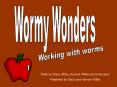 Wormy Wonders PowerPoint PPT Presentation