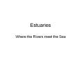 Estuaries PowerPoint PPT Presentation