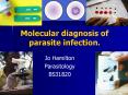 Molecular diagnosis of parasite infection. PowerPoint PPT Presentation