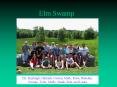 Elm Swamp PowerPoint PPT Presentation