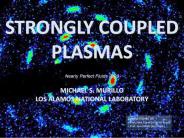 STRONGLY COUPLED PLASMAS