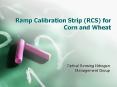Ramp Calibration Strip (RCS) for Corn and Wheat PowerPoint PPT Presentation