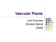Vascular Plants