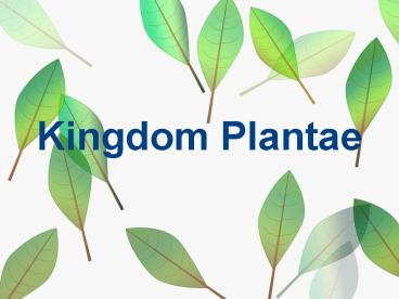 Kingdom Plantae