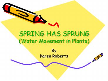 SPRING HAS SPRUNG Water Movement in Plants