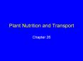Plant Nutrition and Transport PowerPoint PPT Presentation