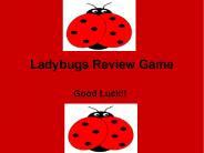 Ladybugs Review Game