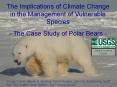 Polar Bear Research in Alaska PowerPoint PPT Presentation