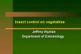 Insect control on vegetables PowerPoint PPT Presentation