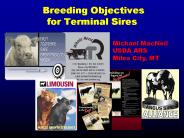 Breeding Objectives for Terminal Sires