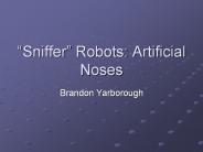Sniffer Robots: Artificial Noses