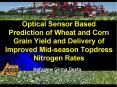 Optical Sensor Based Prediction of Wheat and Corn Grain Yield and Delivery of Improved Mid-season Topdress Nitrogen Rates PowerPoint PPT Presentation