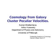 Cosmology from Galaxy Cluster Peculiar Velocities.