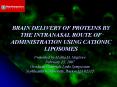 BRAIN DELIVERY OF PROTEINS BY THE INTRANASAL ROUTE OF ADMINISTRATION USING CATIONIC LIPOSOMES PowerPoint PPT Presentation