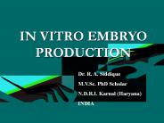 IN VITRO EMBRYO PRODUCTION