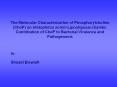 The Molecular Characterization of Phosphorylcholine (ChoP) on Histophilus somni Lipooligosaccharide: Contribution of ChoP to Bacterial Virulence and Pathogenesis PowerPoint PPT Presentation