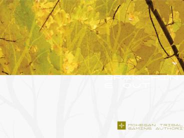 MOHEGAN TRIBAL GAMING AUTHORITY