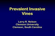 Prevalent Invasive