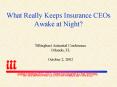 What Really Keeps Insurance CEOs Awake at Night PowerPoint PPT Presentation