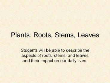 Plants: Roots, Stems, Leaves