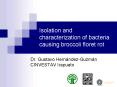 Isolation and characterization of bacteria causing broccoli floret rot PowerPoint PPT Presentation