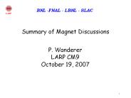 Summary of Magnet Discussions