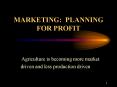 MARKETING: PLANNING FOR PROFIT PowerPoint PPT Presentation