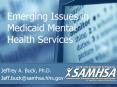 Emerging Issues in Medicaid Mental Health Services PowerPoint PPT Presentation