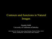Contours and Junctions in Natural Images