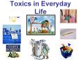 Toxics in Everyday Life PowerPoint PPT Presentation