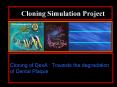 Cloning Simulation Project PowerPoint PPT Presentation