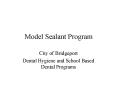 Model Sealant Program PowerPoint PPT Presentation