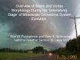 Overview of Storm and Vortex Morphology During the Intensifying Stage of Mesoscale Convective System PowerPoint PPT Presentation
