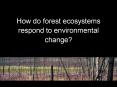 How do forest ecosystems respond to environmental change PowerPoint PPT Presentation