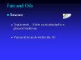 Fats and Oils PowerPoint PPT Presentation