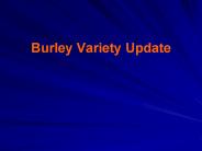 Burley Variety Update