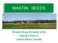 MASTIN SEEDS PowerPoint PPT Presentation
