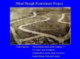 Blind Slough Restoration Project PowerPoint PPT Presentation