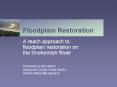 Floodplain Restoration PowerPoint PPT Presentation