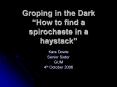 Groping in the Dark How to find a spirochaete in a haystack PowerPoint PPT Presentation