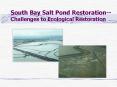 South Bay Salt Pond Restoration Challenges to Ecological Restoration PowerPoint PPT Presentation