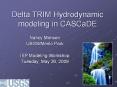 Delta TRIM Hydrodynamic modeling in CASCaDE PowerPoint PPT Presentation