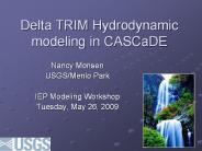 Delta TRIM Hydrodynamic modeling in CASCaDE